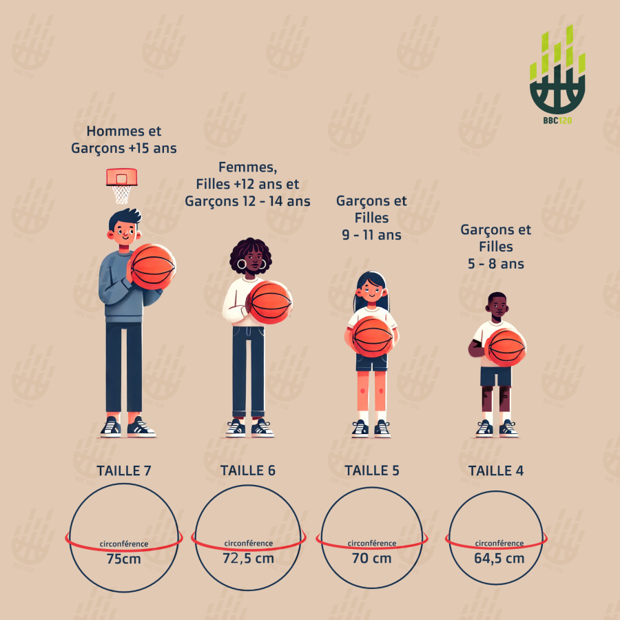 Taille des ballons par catégorie